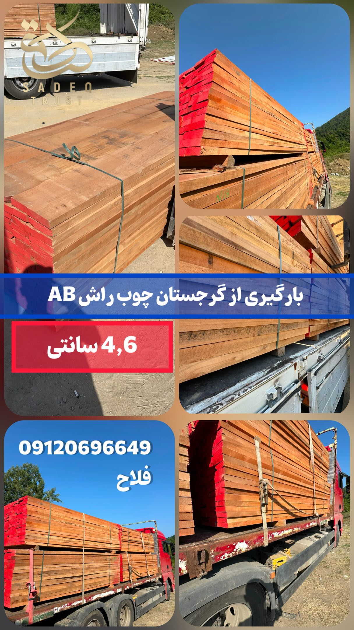 بار چوب راش گرجستان